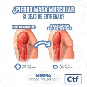 ¿Pierdo masa muscular si dejo de entrenar?