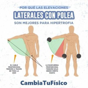 ¿Por qué las elevaciones laterales con polea son mejores para hipertrofia?