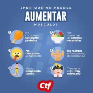 ¿Por qué no puedes aumentar músculo?