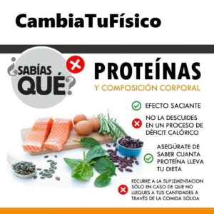 Proteínas y composición corporal