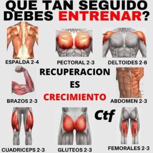 ¿Qué tan seguido debes entrenar?