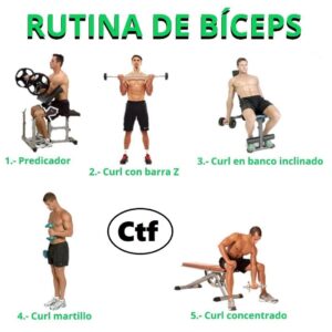 Rutina avanzada de bíceps