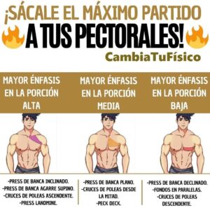 Sácale el máximo partido a tus pectorales