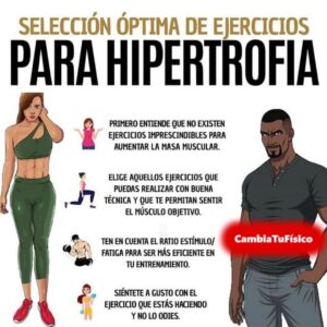 Selección de ejercicios para hipertrofia