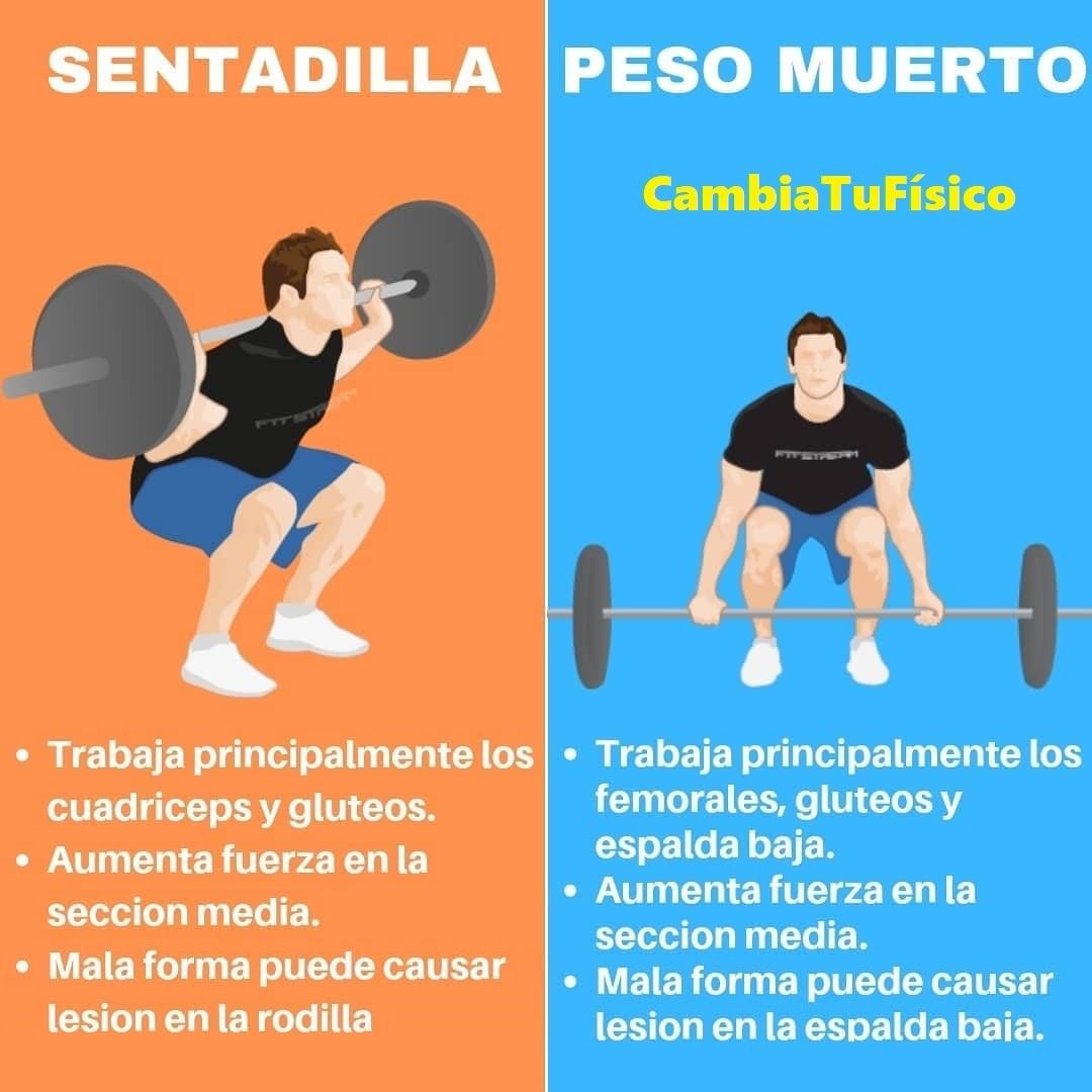 Sentadilla Y Peso Muerto – CambiaTuFisico Blog