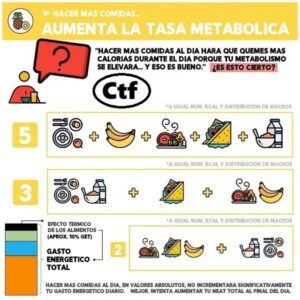 Tasa metabólica