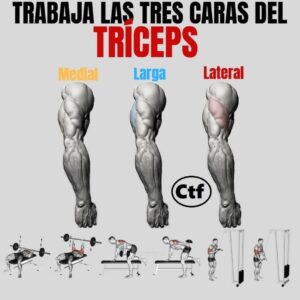Trabaja las 3 caras del tríceps