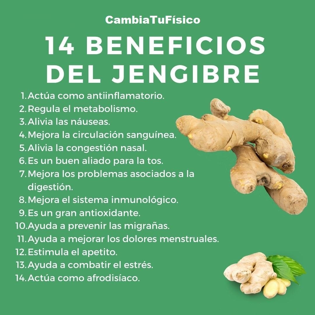 14 Beneficios Del Jengibre Cambiatufisico Blog 1879