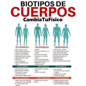 Biotipos de cuerpos