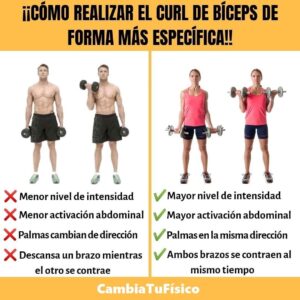 ¿Cómo realizar el curl de bíceps de forma mas especifica?