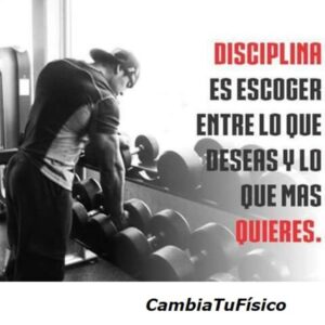 Disciplina