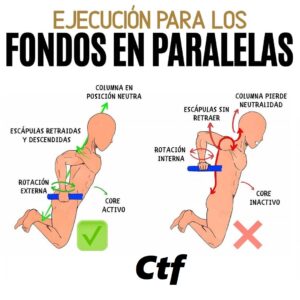 Ejecución para los fondos en paralelas