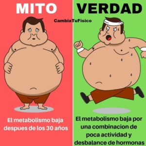 El metabolismo