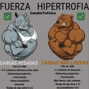 Fuerza vs Hipertrofia