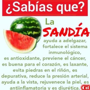 La sandia