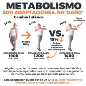 Metabolismo, son adaptaciones no daño