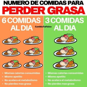 Número de comidas para perder grasa