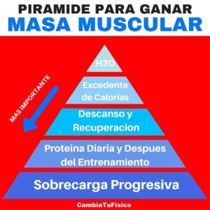 Pirámide para ganar masa muscular
