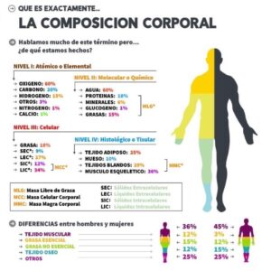 ¿Qué es exactamente la composición corporal?