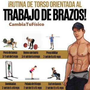 Rutina de torso orientada al trabajo de brazos