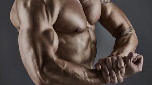Reglas básicas para ganar masa muscular