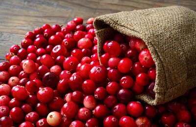 El arándano rojo o cranberry y su efecto curativo