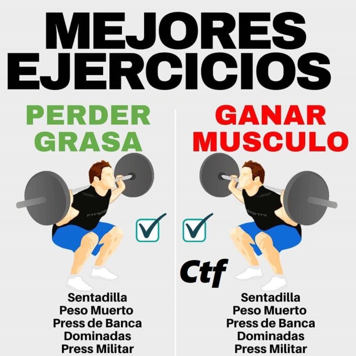 Mejores Ejercicios Para Perder Grasa Y Ganar Músculo Cambiatufisico Blog 4176