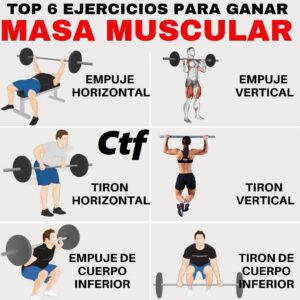 Top 6 ejercicios para ganar masa muscular