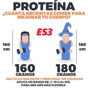 ¿Cuánta proteína necesitas comer para mejorar tu cuerpo?