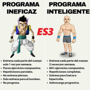 Programa ineficaz vs Programa inteligente